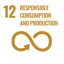 SDG-12