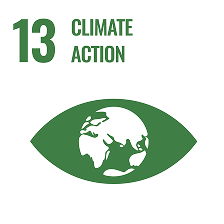 SDG-13