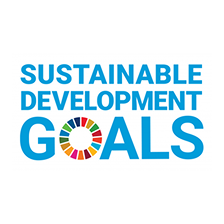 SDG-logo-boxed